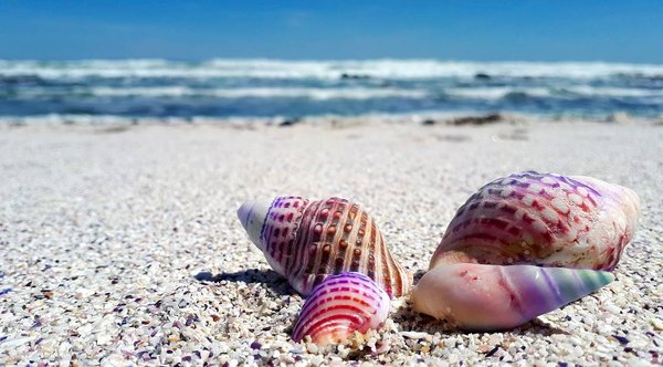 Les plus beaux campings en bord de mer
