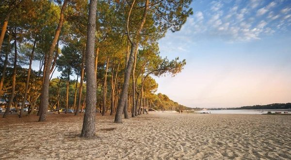 Profitez du bord de mer en camping dans les Landes