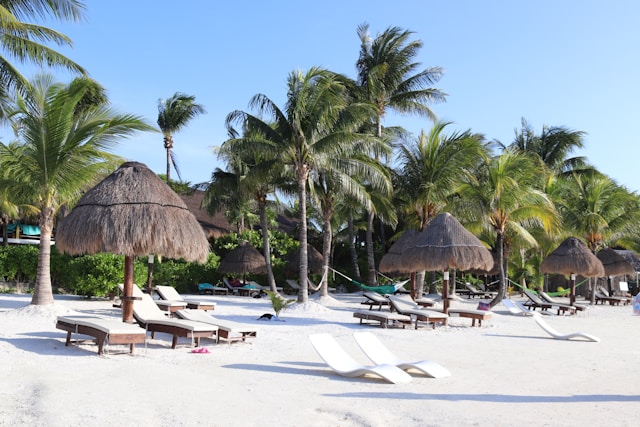 plage parasols