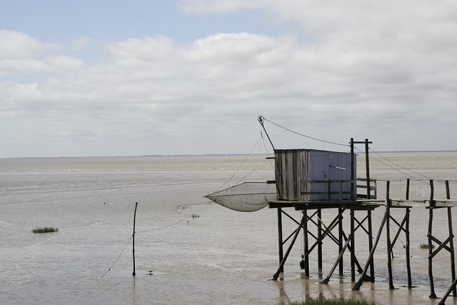 Les établissements de camping en Gironde situés en front de mer, idéaux pour des vacances balnéaires en famille