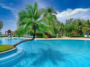 piscine du camping